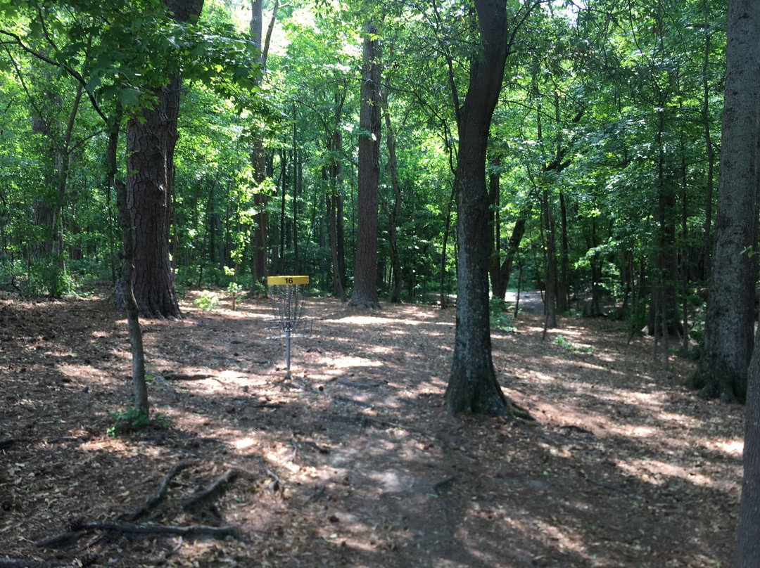 Wills Park-阿尔法利塔必去景点