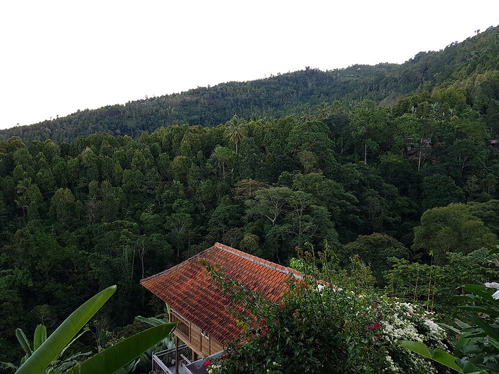 Melanting Cottages & Restaurant-酒店景观