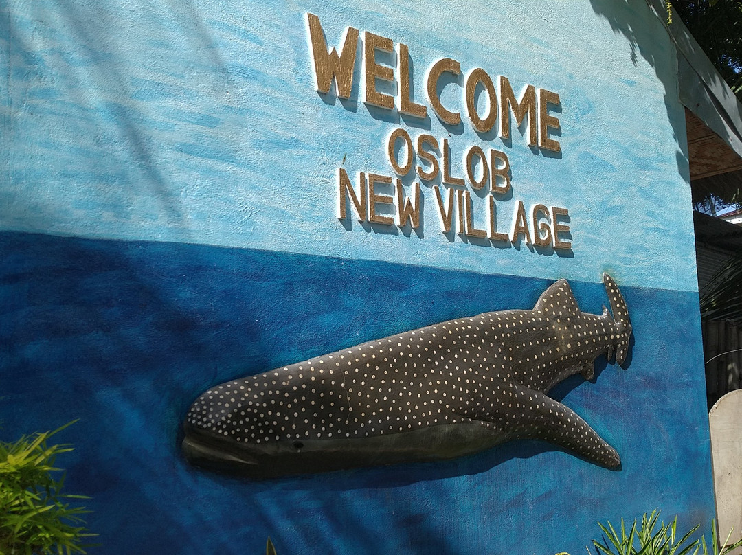 奥斯洛布马隆佐裴斐之家主图