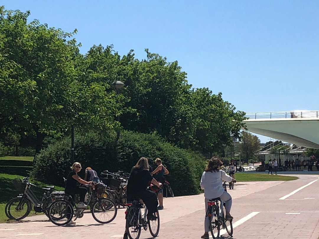 Con4Tour-巴伦西亚必去景点