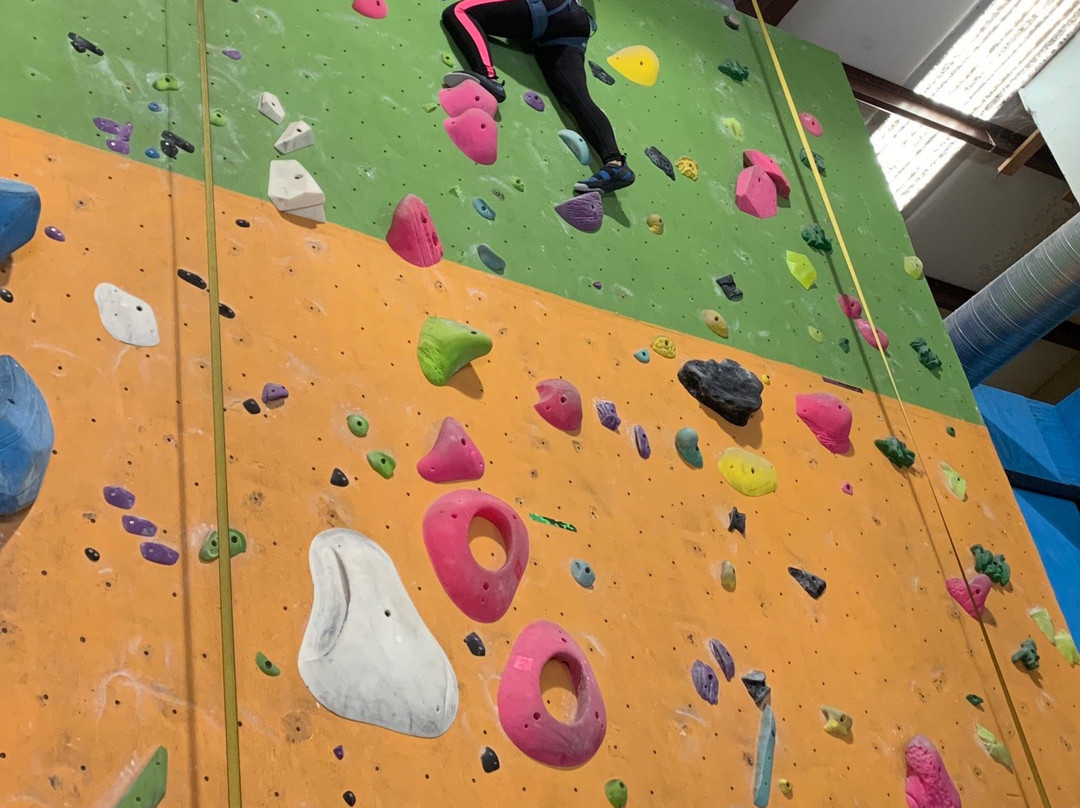 Escalade Rock Climbing-桃树市必去景点