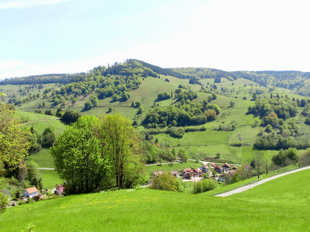 Wieden酒店住宿-Haus Erika