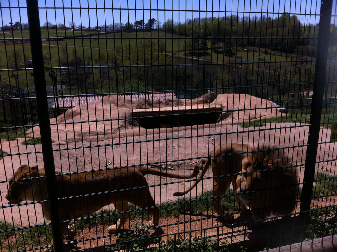 Zoo Parc des félins, les Trois Vallées景点图片