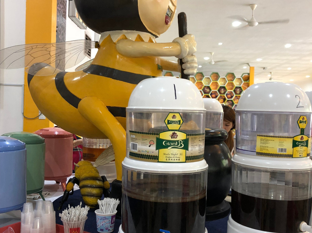 Bee Gallery Melaka景点图片
