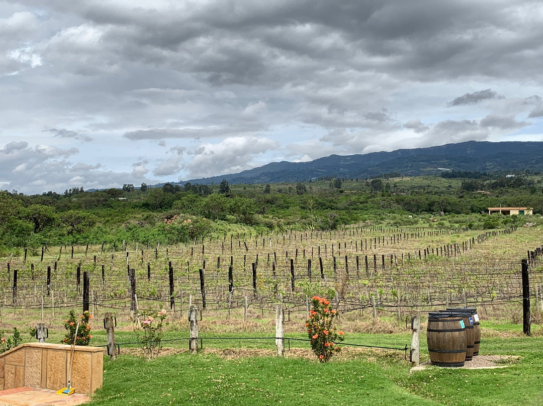 莱瓦镇旅游攻略图片