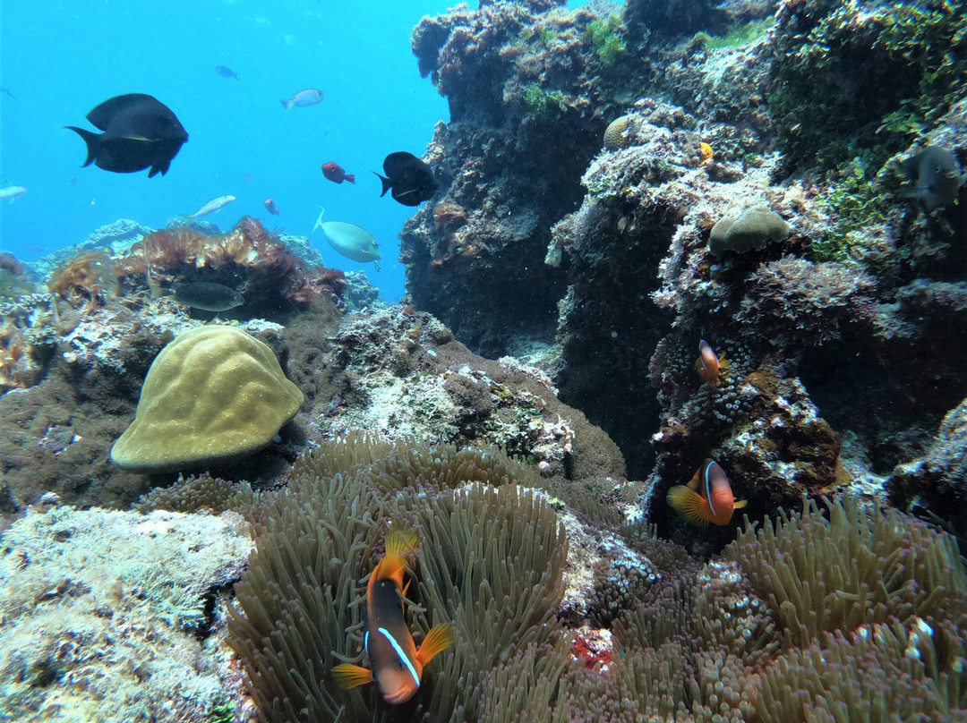 Kitesurf Tonga主图