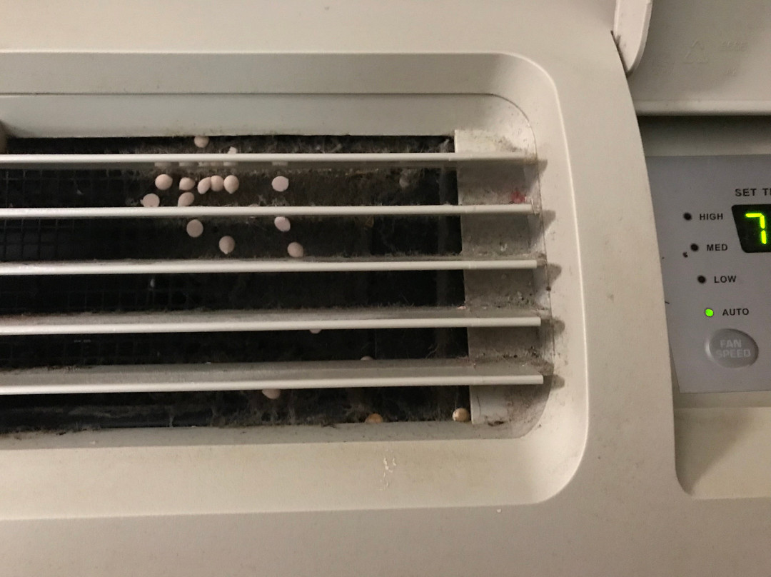 Red Roof Inn & Suites Albany, GA