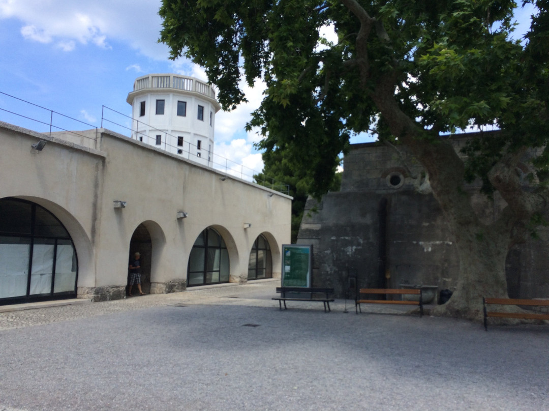 Museo Historico y Naval de Istra景点图片