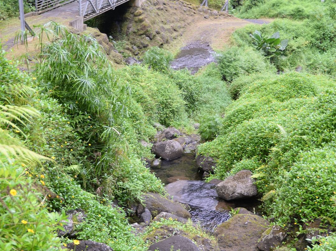 Ciao Tahiti Excursions 4x4 - Day Tours景点图片