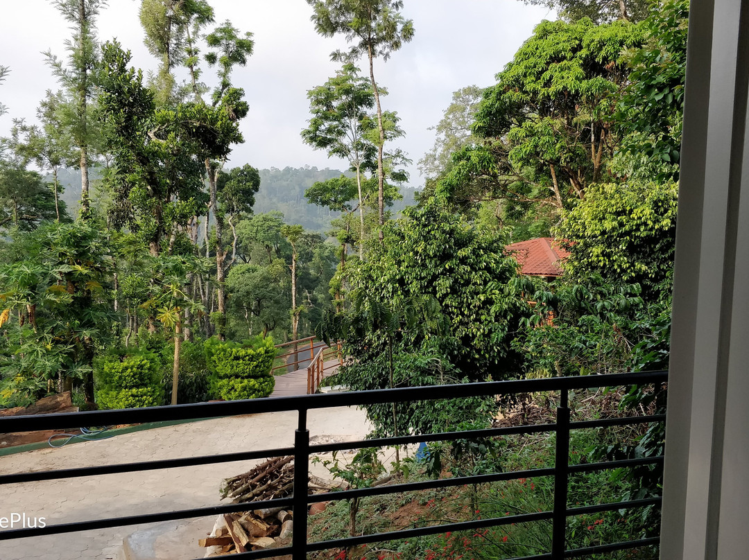 Ibbani Cadu Estate Homestay主图