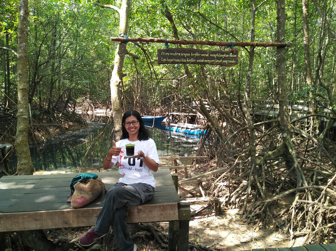 Mangrove Center Graha indah-巴厘巴板必去景点