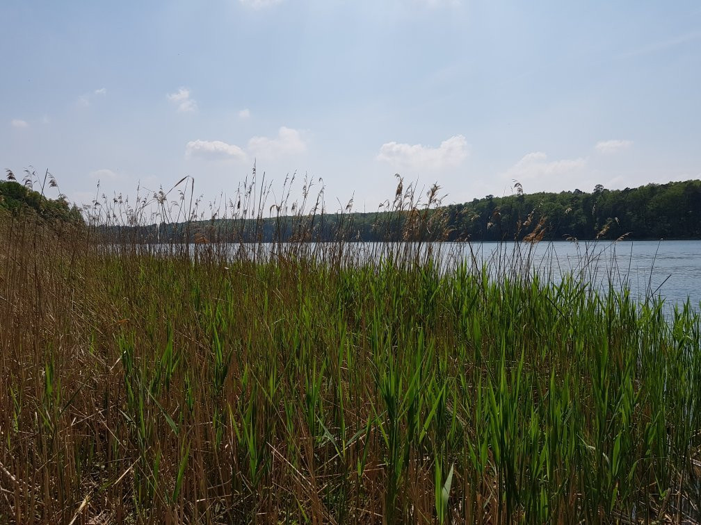 Wielkopolski National Park景点图片