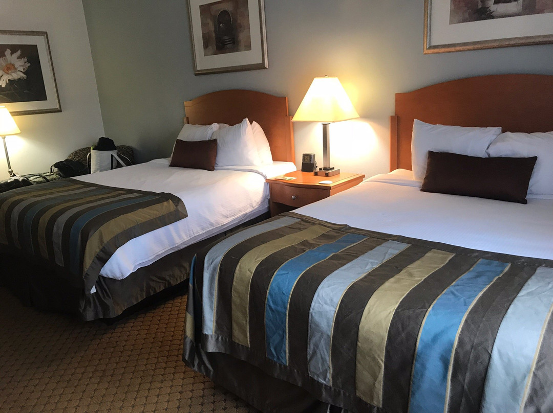 Spark by Hilton Winchester主图