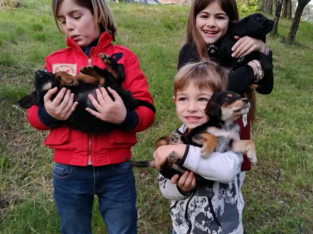 Agriturismo il Poggio degli Scoiattoli主图