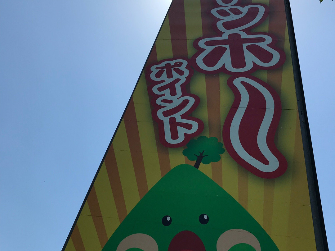 Jappan's Best Yahho Point-日高川町必去景点