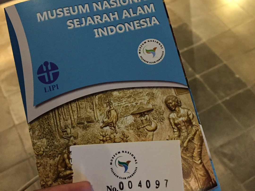 Indonesia National Museum of Natural History景点图片