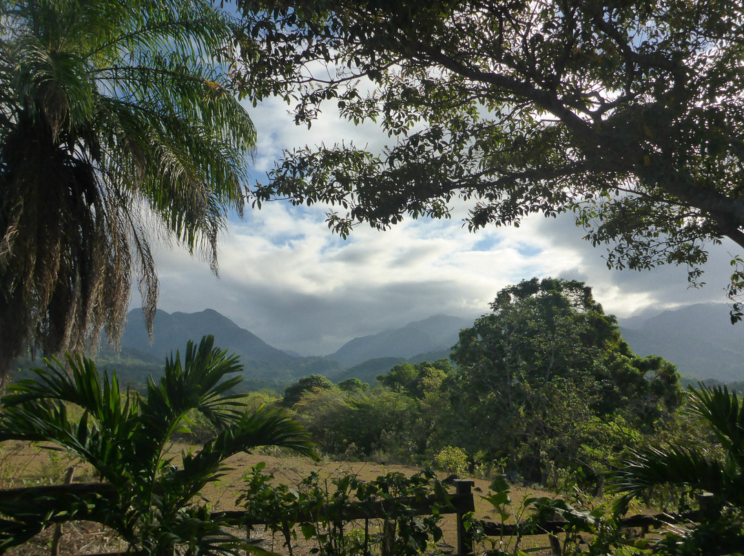 Coffee Mountain Inn主图