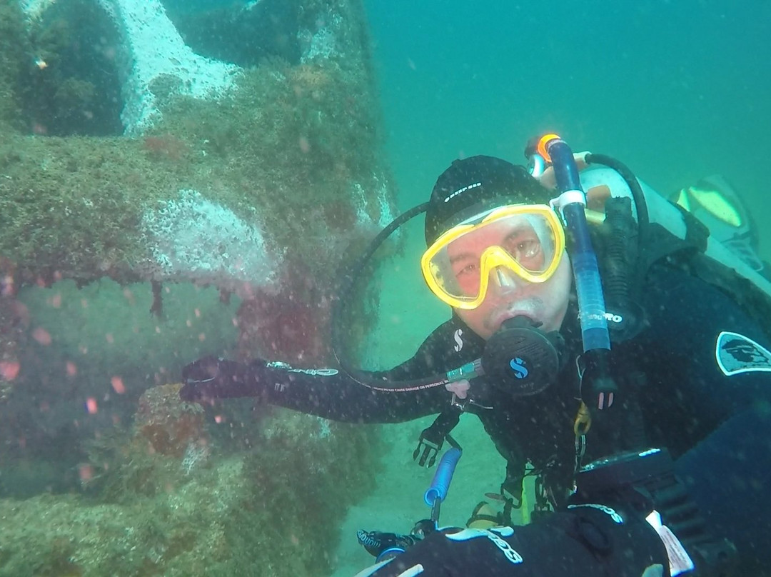 The Underwater Museum of Art景点图片