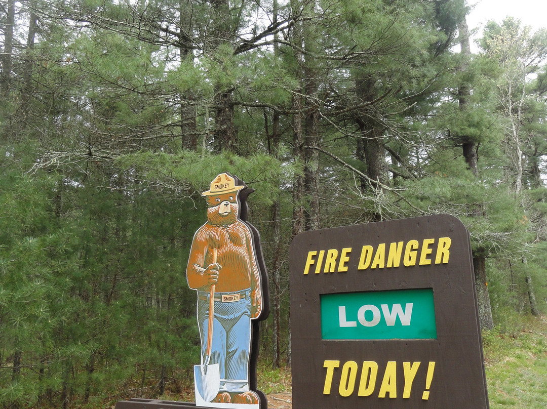 Pachaug State Forest-Voluntown必去景点