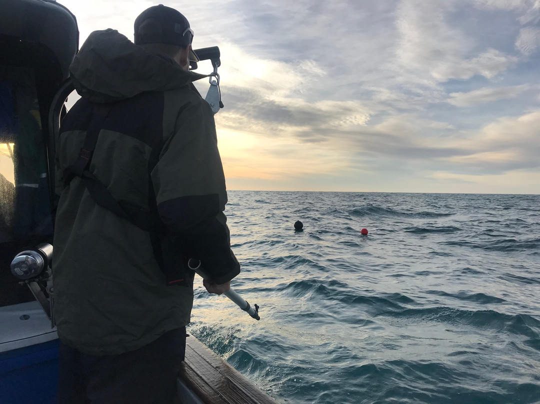 The Rodfather Fishing Charters-Kaikoura必去景点