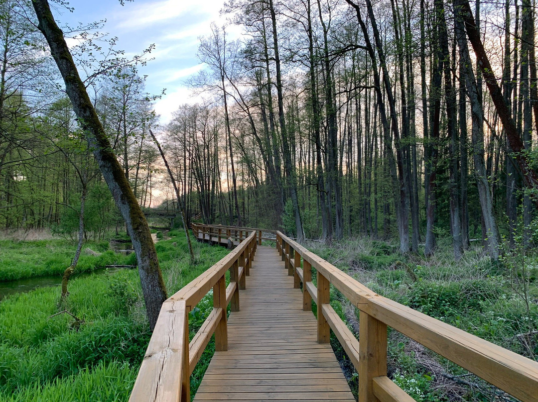 Zrodła Krolewskie-Kozienice必去景点