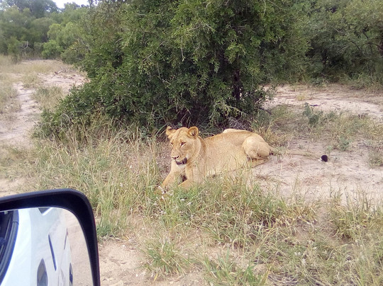 Nkango Tours & Safaris-尼斯普鲁特必去景点