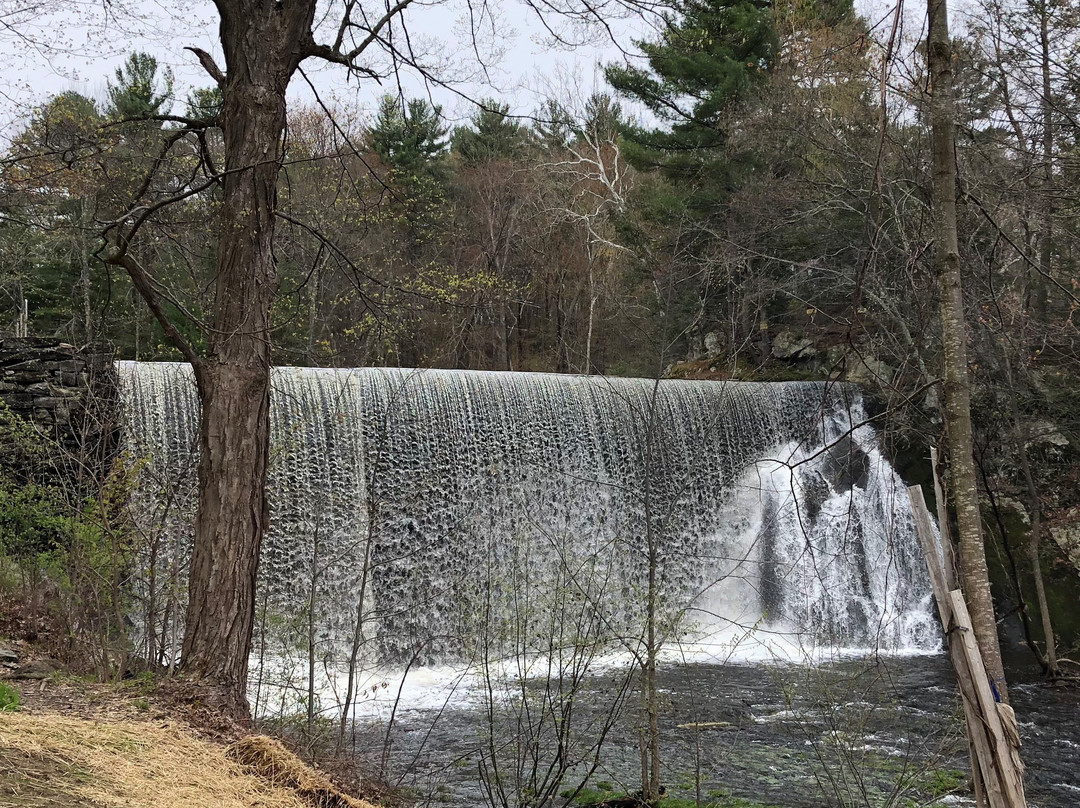 Puffer's Pond-艾姆赫斯特必去景点