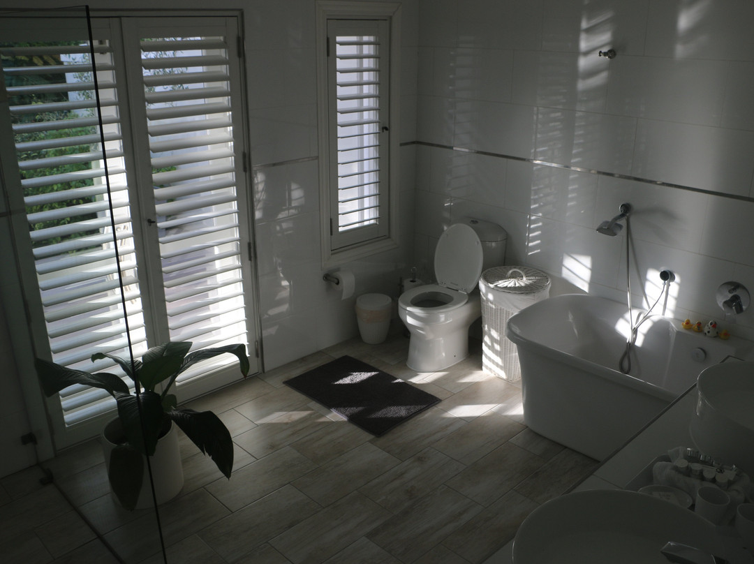 One on Bollard主图