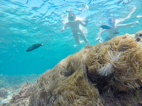 Tip-Top Destination-普吉镇必去景点