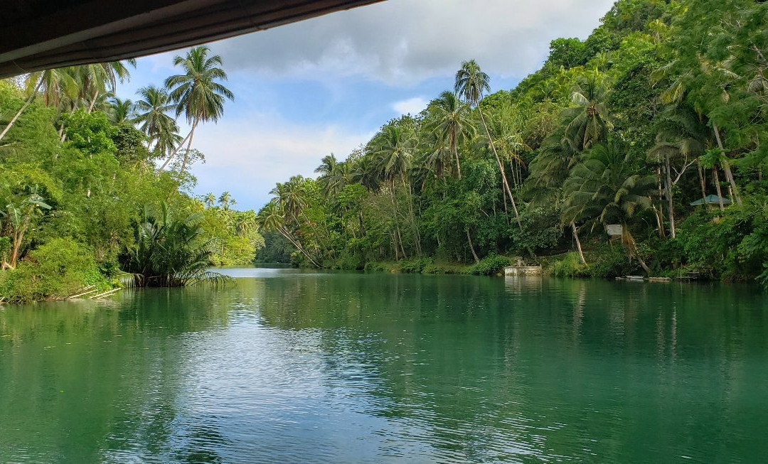 Loboc River Cruise景点图片