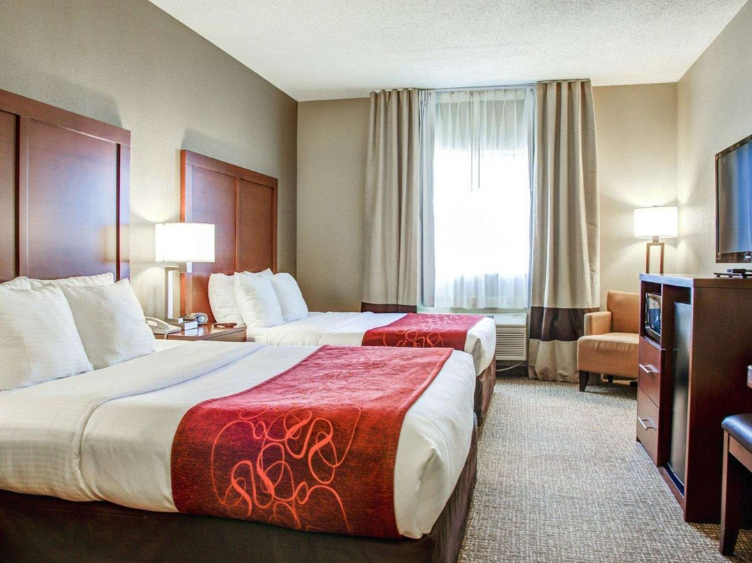 Comfort Suites Lombard - Addison主图