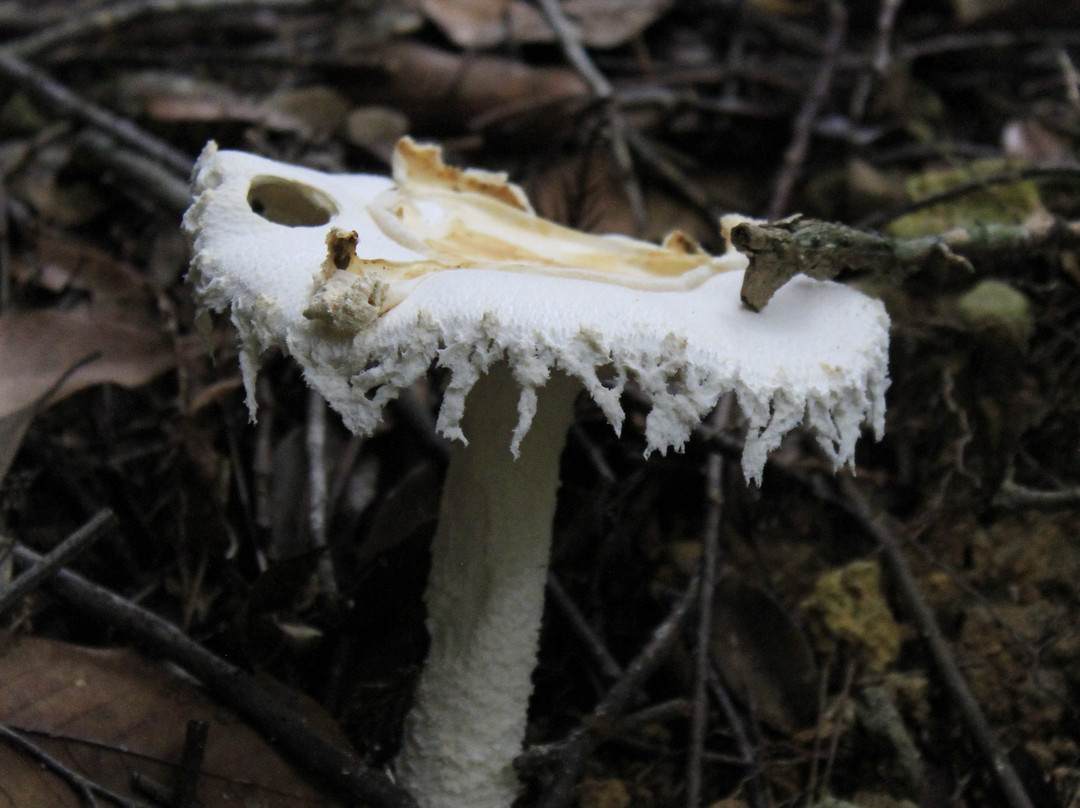 Taikoiwa Fudoson-武雄市必去景点