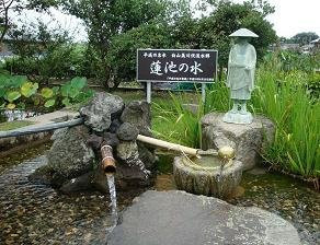 Hakusan Mikawa Fukuryusuigun-白山市必去景点