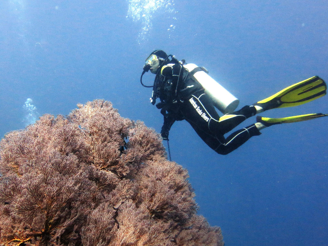 iDiventure-雅加达必去景点