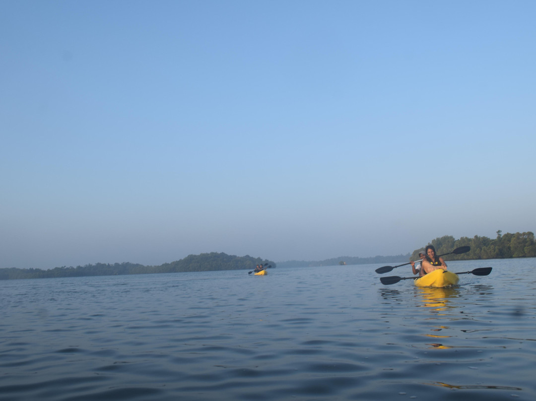 Serendib Adventures - Madu River-巴拉碧提雅必去景点