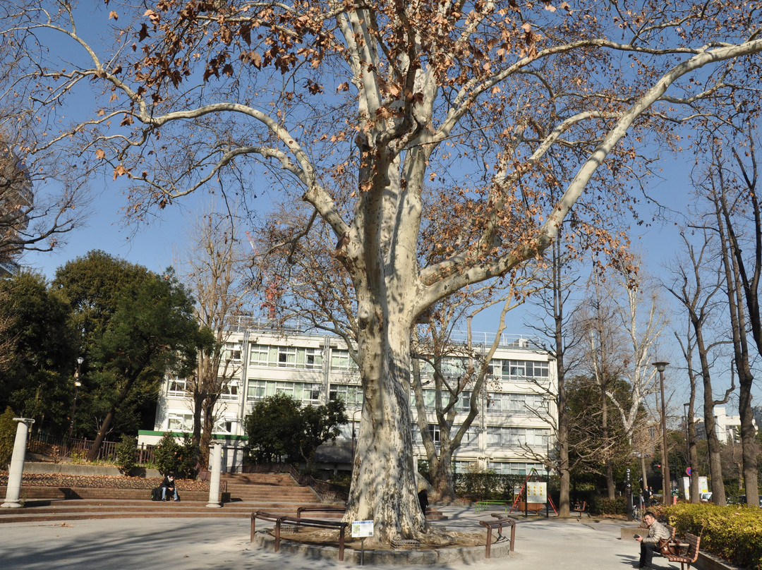 Yotsuya Mitsuke Park-Yotsuya必去景点