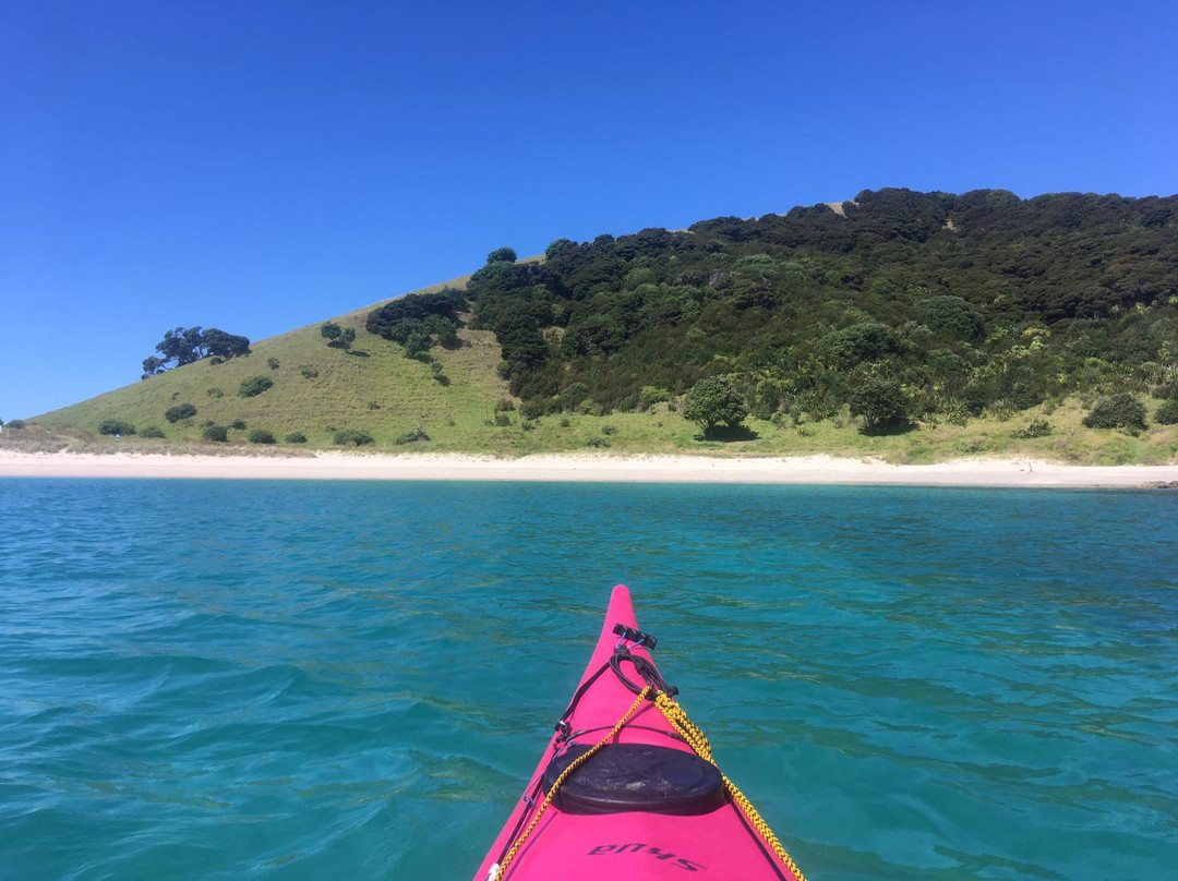 New Zealand Sea Kayak Adventures景点图片