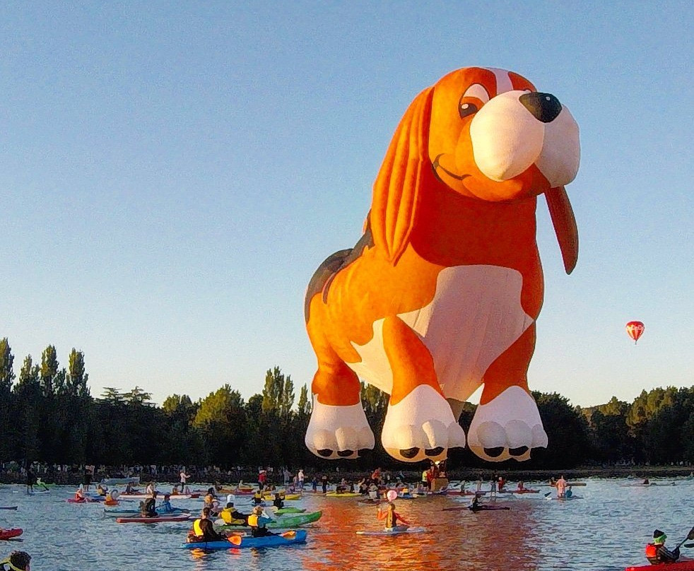 Stand Up Paddle Canberra-堪培拉必去景点