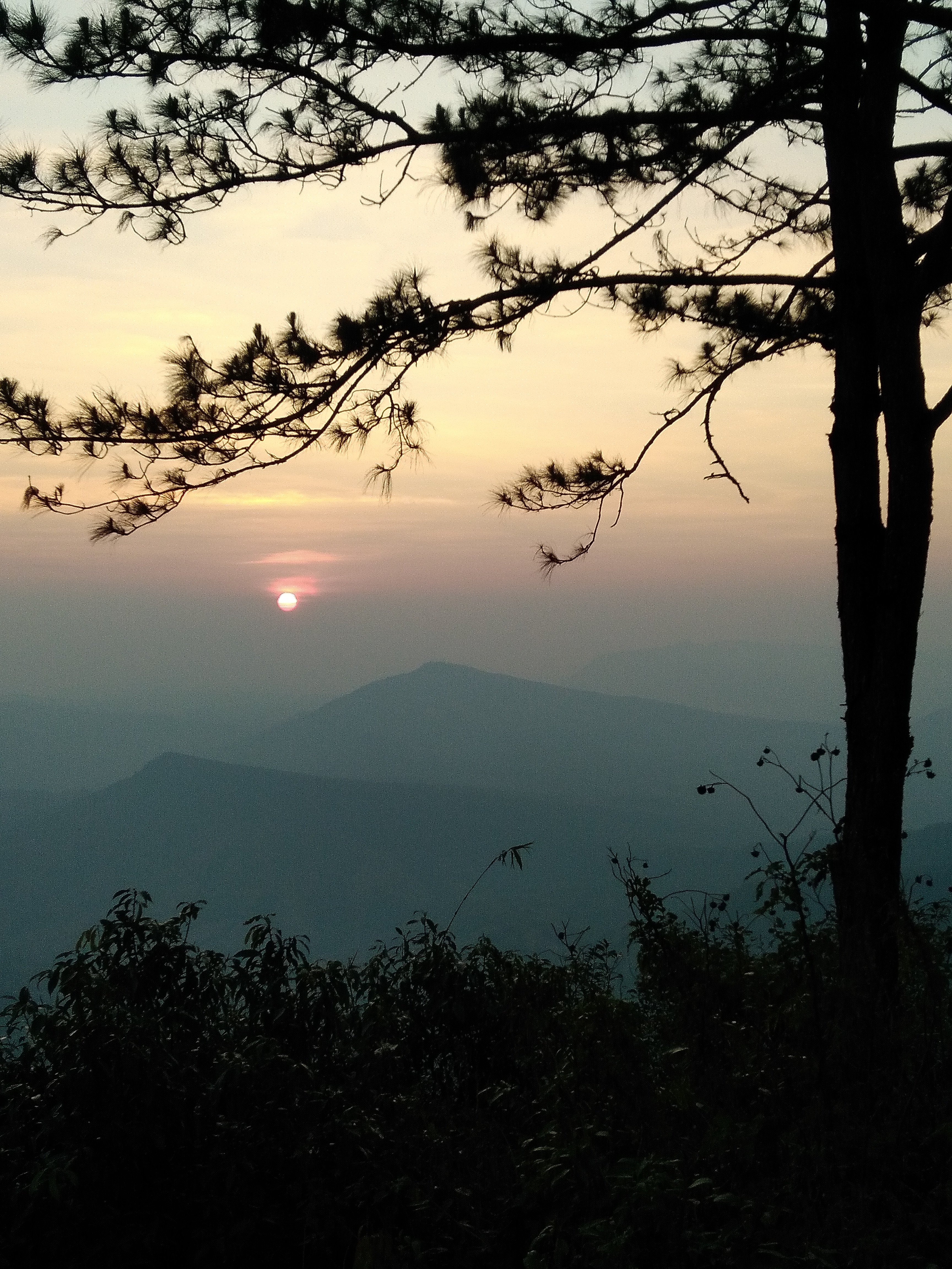 Phurua View-官方