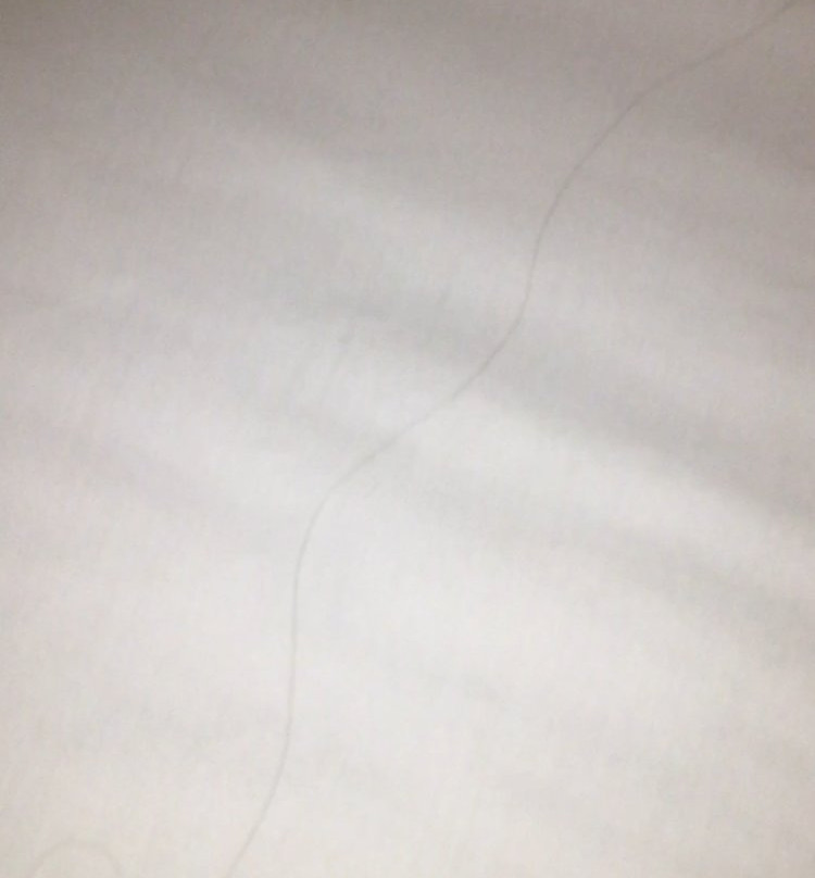 Apartamentos Els Meners主图