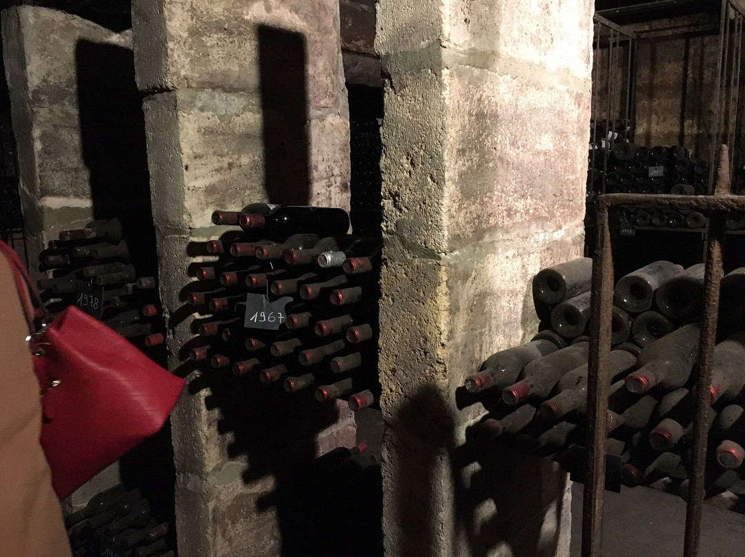 Bordeaux Wine Trails景点图片