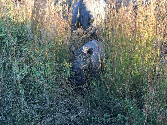 Bushmen Travel-布拉瓦约必去景点