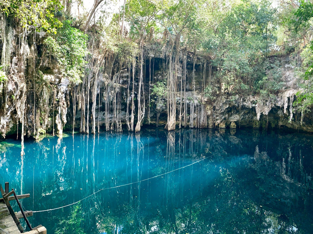 Lawson's Original Yucatan Excursions景点图片
