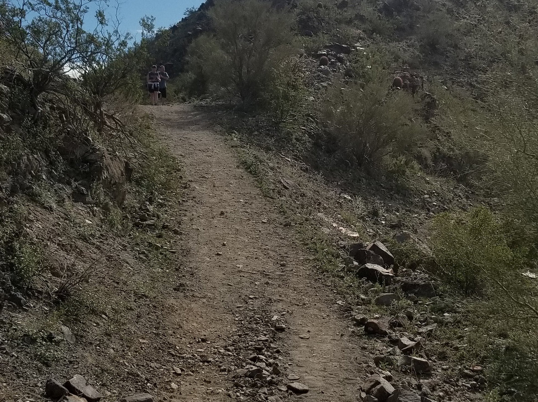 Skyline Regional Park-Buckeye必去景点
