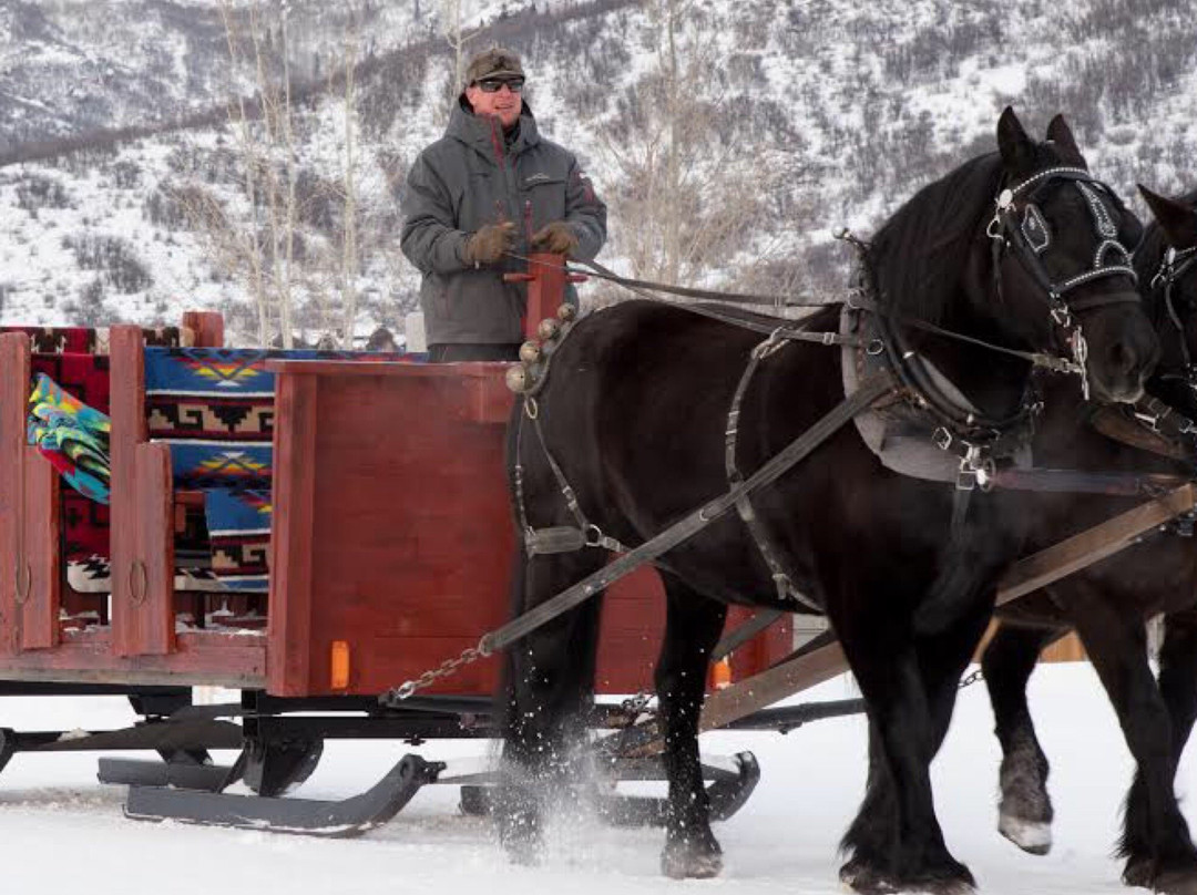 Dinner Sleigh Rides at Haymaker