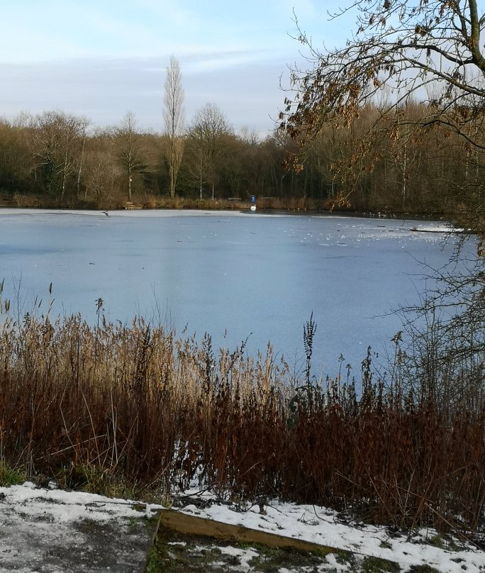 Longton Brickcroft Nature Reserve景点图片