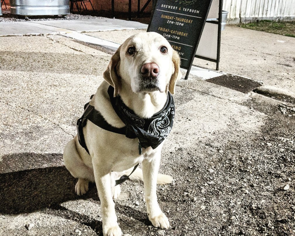 Miel Brewery & Taproom-新奥尔良必去景点