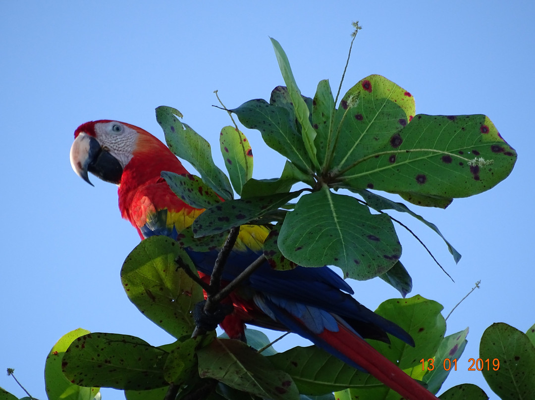 The Tranquilo Lodge主图