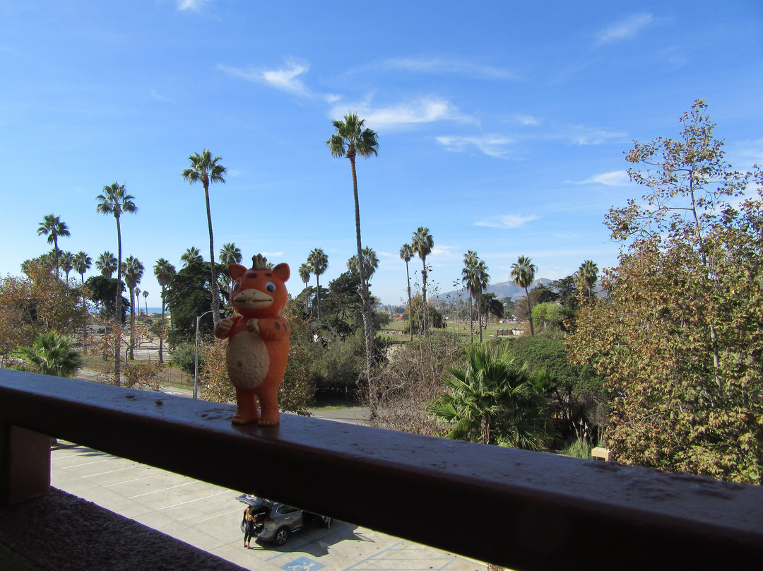 Ventura Beach Marriott主图