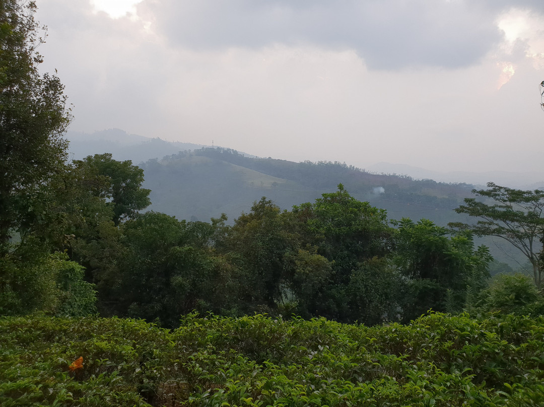 Upper Donside Planter's Bungalow主图